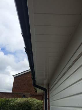 FASCIA